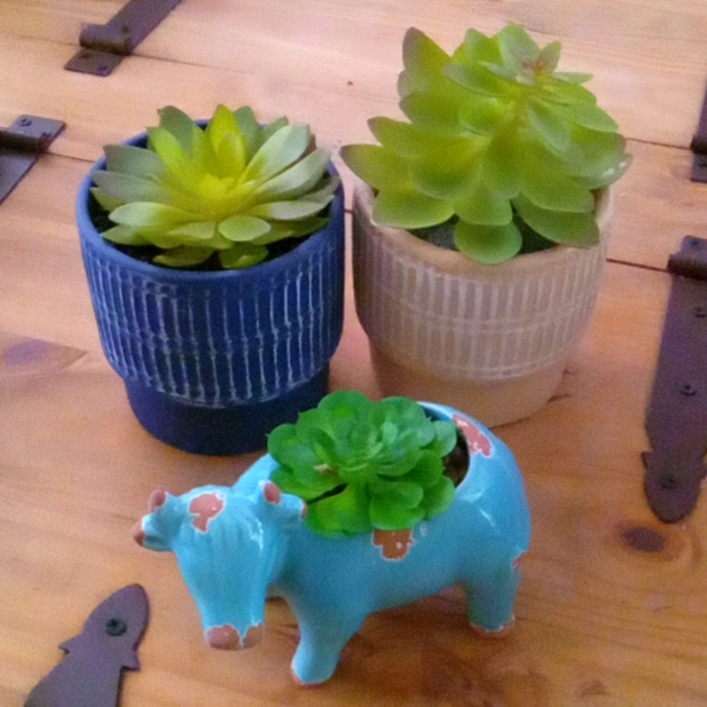3 Potted Artificial Succulent Plants